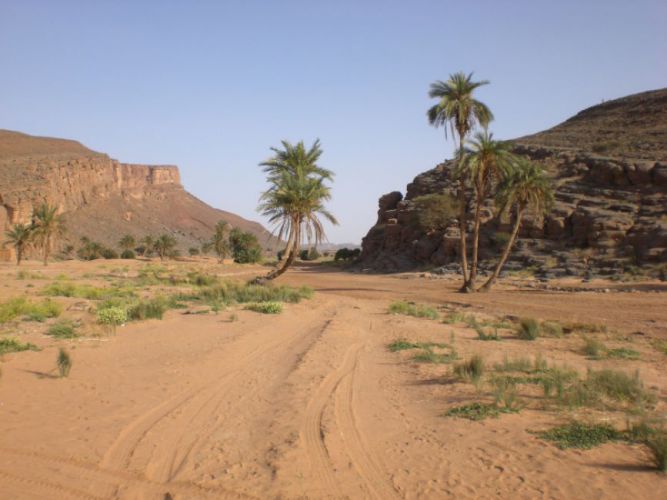 8 DIAS A PARTIR DE Marrakech Aventura Para Deserto Pista de Rally Paris-Dakar