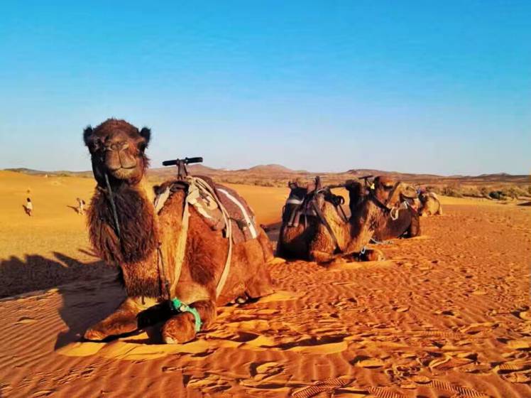 Roteiro de 6 dias de Tanger para o deserto do saara-Fez-Chefchaouen-Meknes